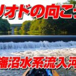 ピリオドの向こう側【印旛沼水系バス釣りSUP】