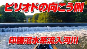 ピリオドの向こう側【印旛沼水系バス釣りSUP】