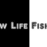 SlowLife Fishing1/25(土)【管理釣り場】【エリアトラウト】