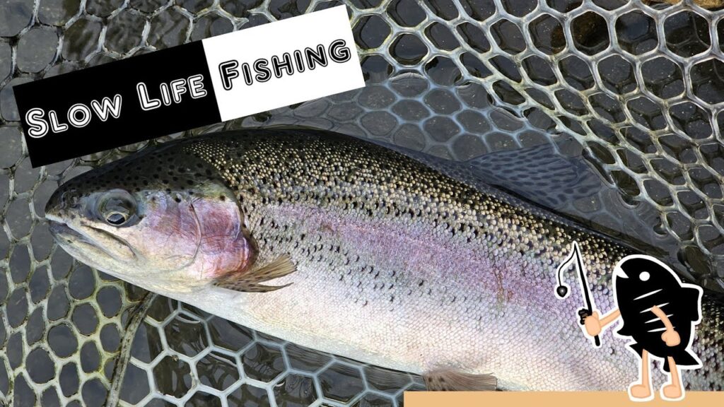 SlowLife Fishing1/9(木)【管理釣り場】【エリアトラウト】