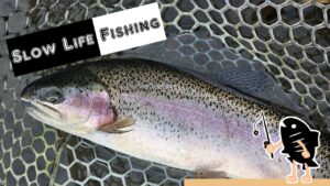 SlowLife Fishing1/9(木)【管理釣り場】【エリアトラウト】