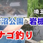タナゴ釣りと小物釣り大会【別所沼公園】【岩槻区用水路】【Tanago】【bobber fishing】microfishing videos in japan