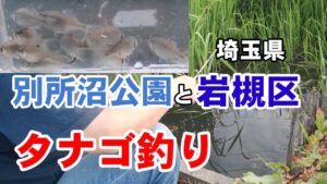 タナゴ釣りと小物釣り大会【別所沼公園】【岩槻区用水路】【Tanago】【bobber fishing】microfishing videos in japan