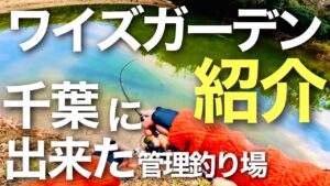 千葉に管理釣り場誕生！　Y's garden　ワイズガーデンを紹介紹介【エリアトラウト】【管理釣り場】