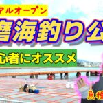釣れる海釣り公園【須磨海釣り公園】サヨリにコブダイetc…初心者でも安心して釣れますよ