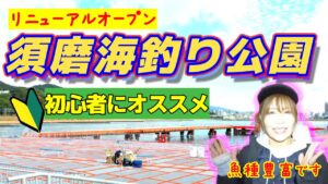 釣れる海釣り公園【須磨海釣り公園】サヨリにコブダイetc…初心者でも安心して釣れますよ
