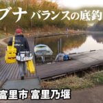 千葉県の管理釣り場で早春のgヘラブナ釣りを楽しむ 1/2 『ヘラブナギャラリー 稲村順一×富里乃堰 春の訪れ』【釣りビジョン】その①