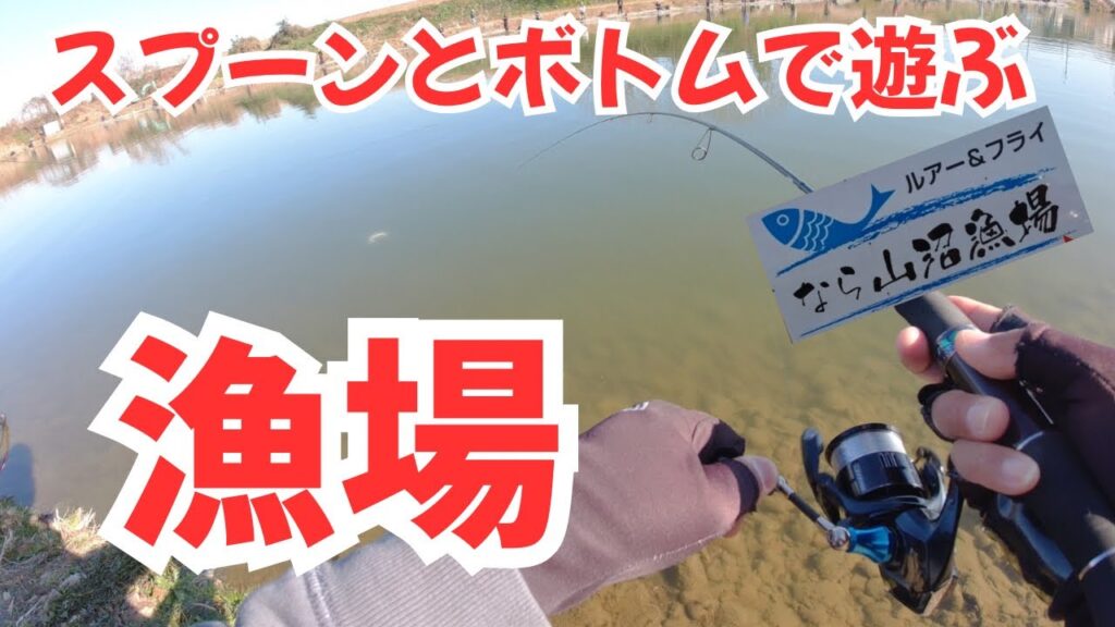 【エリアトラウト】コスパ最強の管釣りをスプーンとボトムで遊んできた！inならやま沼漁場