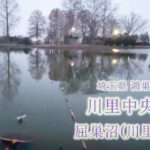 衝撃的な寒中ヘラブナ釣りin屈巣沼【￼埼玉県鴻巣市屈巣】