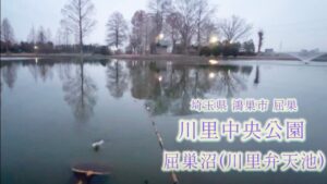 衝撃的な寒中ヘラブナ釣りin屈巣沼【埼玉県鴻巣市屈巣】