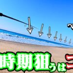 【狙うは〇〇の下】真冬の遠州灘サーフ❗️＋テトラ帯、堤防ルアー＆サビキ釣りでフルに楽しんできました🐟in遠州灘、田原サーフ【釣行日2025/01/20(月)】