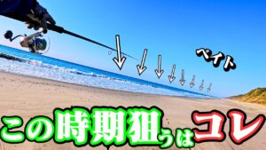 【狙うは〇〇の下】真冬の遠州灘サーフ❗️＋テトラ帯、堤防ルアー＆サビキ釣りでフルに楽しんできました🐟in遠州灘、田原サーフ【釣行日2025/01/20(月)】
