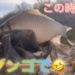 《へらぶな釣り to 川田谷沼》両ダンゴの方が浮きが動いた😂リベンジ出来て良かっただぁ🤣