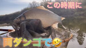 《へらぶな釣り to 川田谷沼》両ダンゴの方が浮きが動いた😂リベンジ出来て良かっただぁ🤣