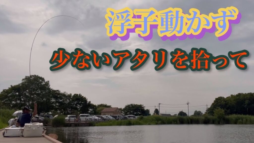 《へらぶな釣り  to  中野沼》触りのナジミ出たのがほんの一時だけ😣