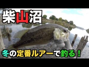 【リクエスト】柴山沼でバス釣り〜冬始めました！？〜