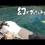 レンタルボートでビッグレインボー狙ってたらまさかの超レア魚が【大尻沼】