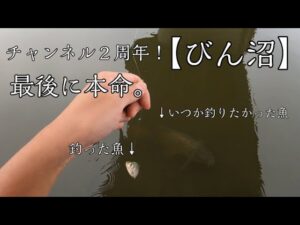 【小物釣り】チャンネル２周年！びん沼で小物釣り！【びん沼】※高画質設定推奨
