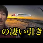 冬の遠州灘サーフで超朝マズメに釣りしたら…