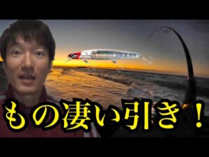 冬の遠州灘サーフで超朝マズメに釣りしたら…