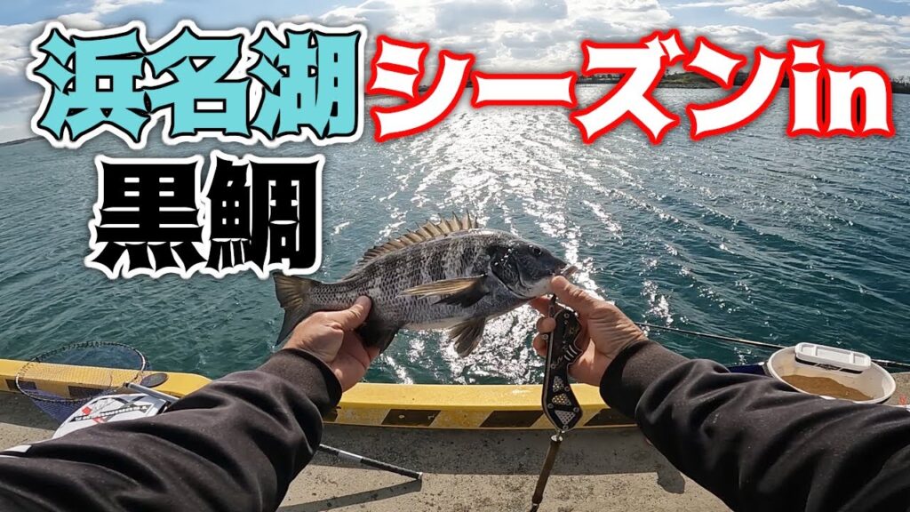 【紀州釣り】待ちに待った開幕！浜名湖黒鯛紀州釣り！【黒鯛釣り】【釣武者】