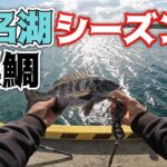 【紀州釣り】待ちに待った開幕！浜名湖黒鯛紀州釣り！【黒鯛釣り】【釣武者】
