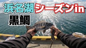 【紀州釣り】待ちに待った開幕!浜名湖黒鯛紀州釣り!【黒鯛釣り】【釣武者】