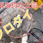 海釣り公園チンタを躱して中型狙い