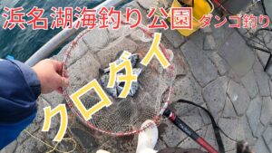 海釣り公園チンタを躱して中型狙い