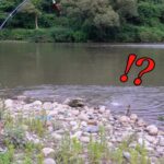 雨上がりのウナギ釣りで竿が折れそうになった