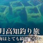 高知の海は綺麗でした。