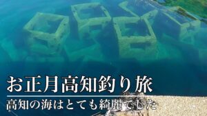 高知の海は綺麗でした。