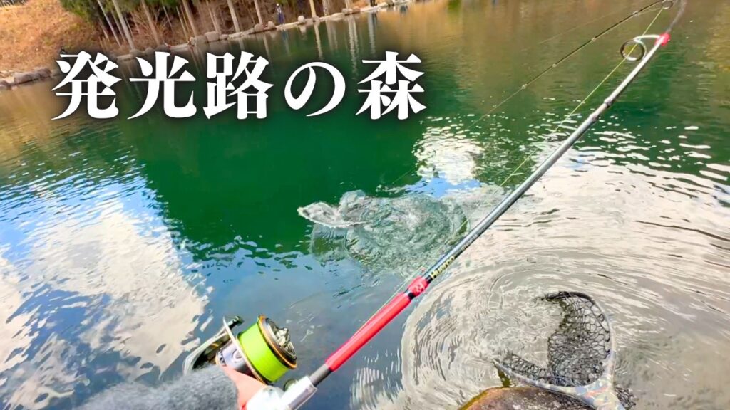 風花舞う発光路の森で良型トラウトに挑む。冬の静寂を破る美しき１匹との出会い【エリアトラウト】【管理釣り場】