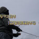 のんびりマス釣り【根尾川管理釣り場　マス釣り】