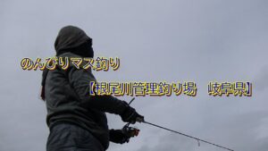のんびりマス釣り【根尾川管理釣り場　マス釣り】