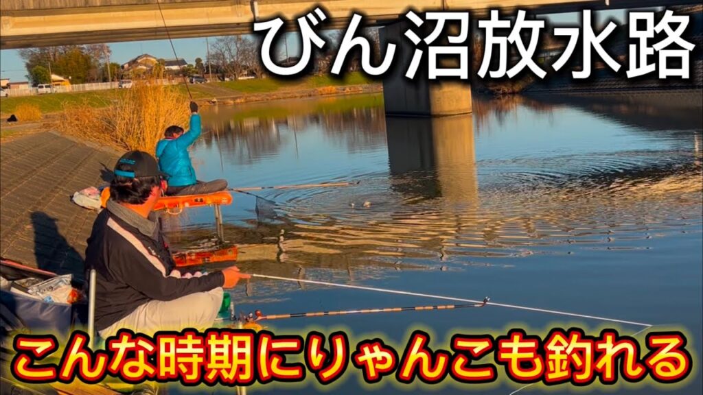 びん沼放水路でへらぶな釣り！あけおめフィッシュ！この時期にりゃんこも釣れる！びん沼クオリティは野釣り場日本１！！