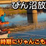 びん沼放水路でへらぶな釣り！あけおめフィッシュ！この時期にりゃんこも釣れる！びん沼クオリティは野釣り場日本１！！