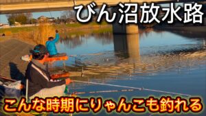 びん沼放水路でへらぶな釣り!あけおめフィッシュ!この時期にりゃんこも釣れる!びん沼クオリティは野釣り場日本1!!