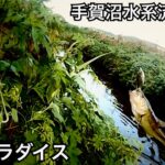 関東で今一番釣れてる手賀沼でバス釣り