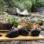 【神回】秘境で釣りしてたら主が釣れた