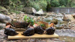 【神回】秘境で釣りしてたら主が釣れた