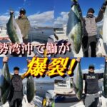 【海釣り情報】高活性な鰤が年始から爆裂する伊勢湾！（前半戦）