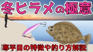 【冬ヒラメ】旬は冬!ヒラメをルアーで狙う、釣れたら家族大喜び!