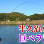 厳寒期にヘラブナが高確率で釣れる！牛久沼水系に長尺ドボン釣りで挑む【稲荷川】