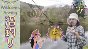 鯉とギル🐟️沼釣り😆✨