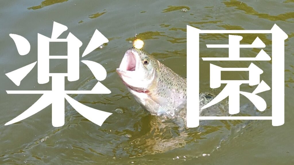 ず～っと釣れ続ける・・楽園のような釣り場が存在した【エリアトラウト】