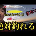 冬の遠州灘サーフと浜名湖で釣り🎣