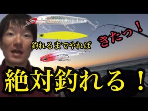 冬の遠州灘サーフと浜名湖で釣り🎣