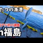 福島県いわき ふたつの漁港で堤防アジ釣り調査した結果…冬でも絶好調！