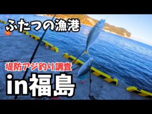 福島県いわき ふたつの漁港で堤防アジ釣り調査した結果…冬でも絶好調！